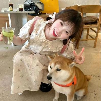 实习警犬物语